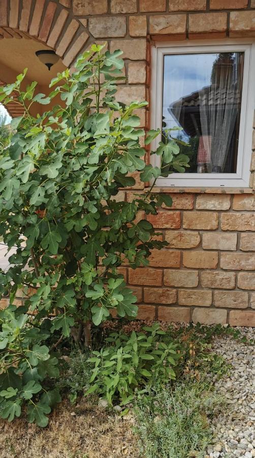 Mediterrania Apartment كيستاي المظهر الخارجي الصورة