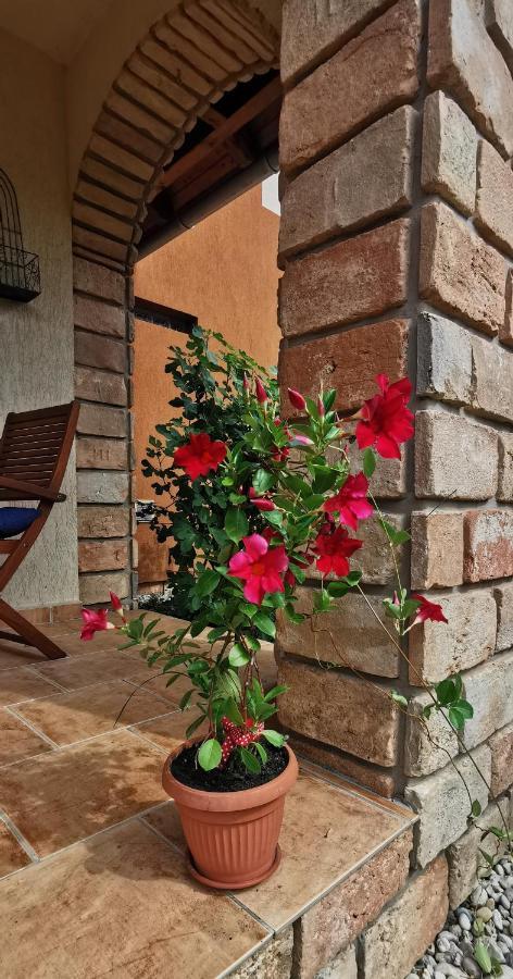 Mediterrania Apartment كيستاي المظهر الخارجي الصورة
